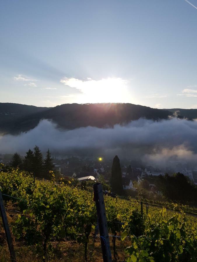 Mosella Ferienwohnungen Verbandsgemeinde Verbandsgemeinde Bernkastel-Kues Buitenkant foto